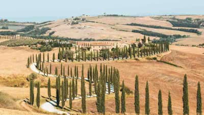 Italy Honeymoon in Tuscany