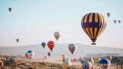 Turkey marriage proposal - Secret Garden