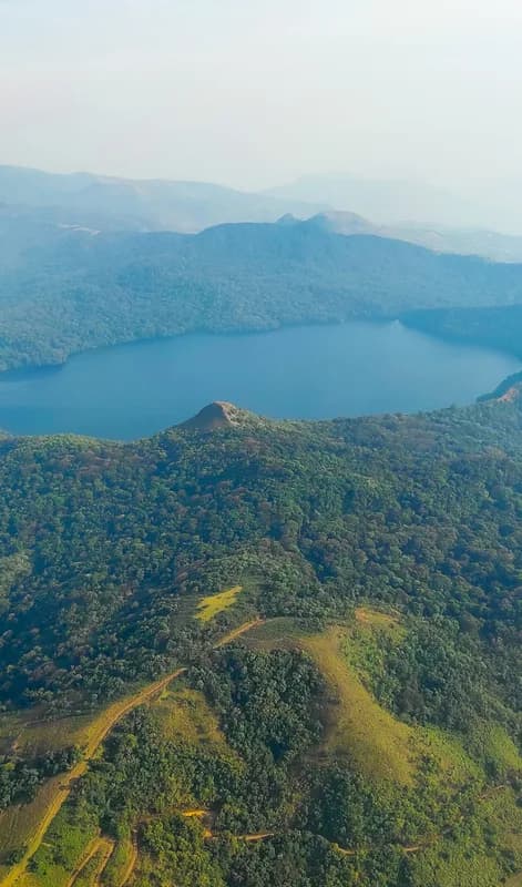 Bamenda Highlands / Kilum-Ijim Forest — Bannerman's Turaco, Banded Wattle-eye, Cameroon montane endemics