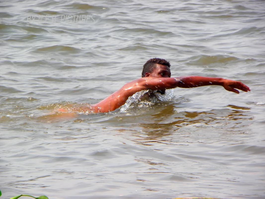 Ngondo Festival (Douala) — pirogue races, ancestral river rites