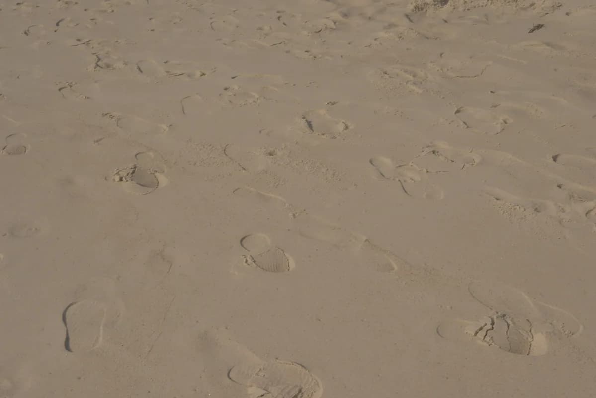 Pointe-Noire — Atlantic beaches, gateway to the Mayombe