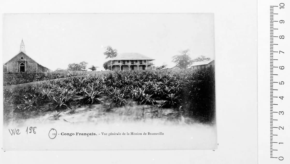 Patrimoine royal Kongo et Teke — patrimoine royal Kongo, patrimoine chieftaincy Teke