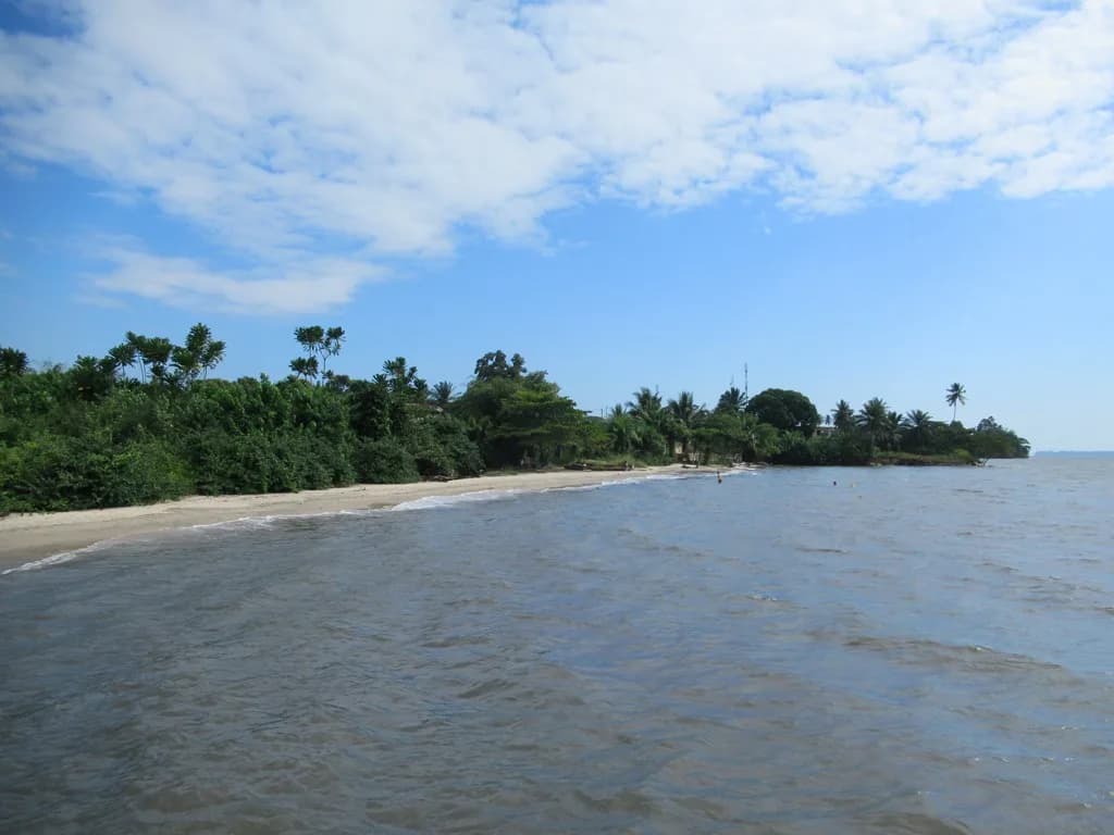 Rio Muni forest expeditions — forest-elephant habitat, Remote forest-elephant country in the far south-east, multi-day expedition camps