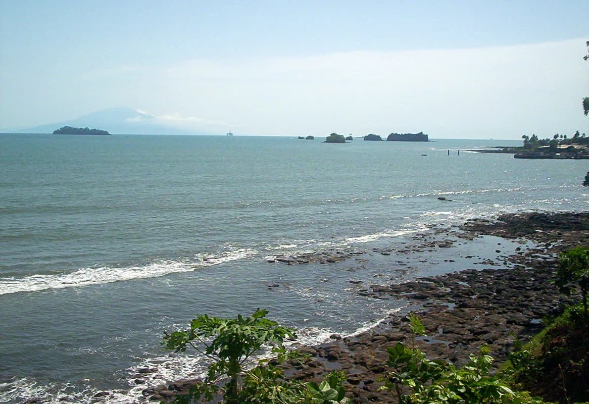 Bioko Island forest trails — Gulf of Guinea island endemics