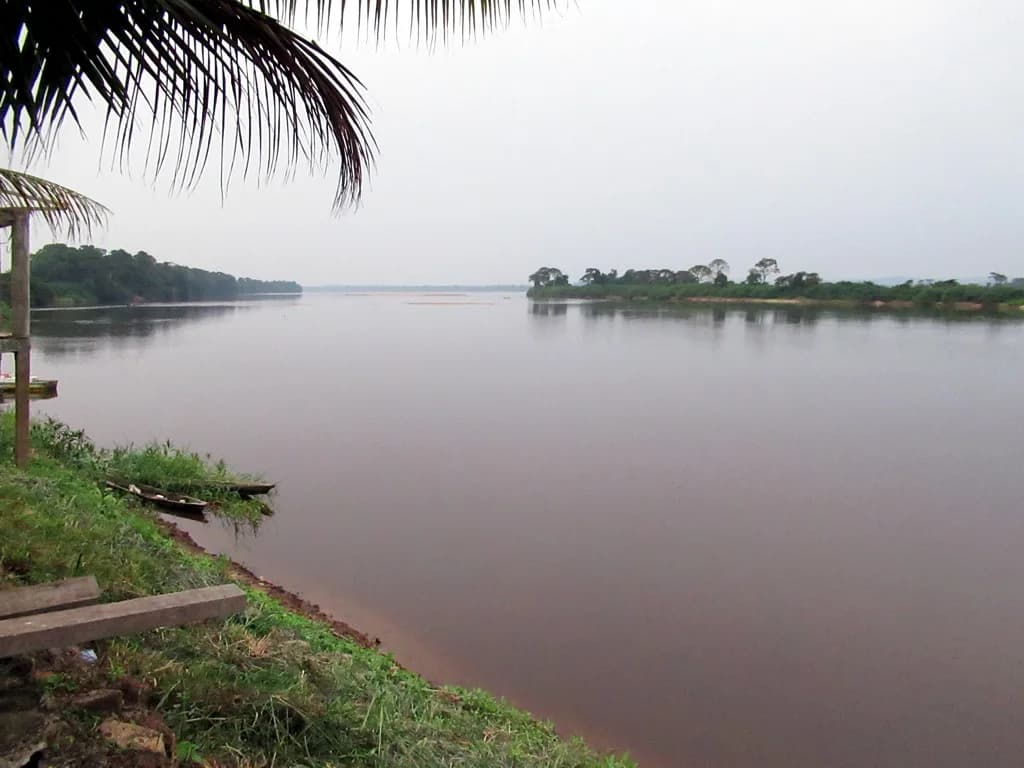 Ogooué River — manatee and crocodile spotting, delta and tributary crossings, boat and pirogue travel