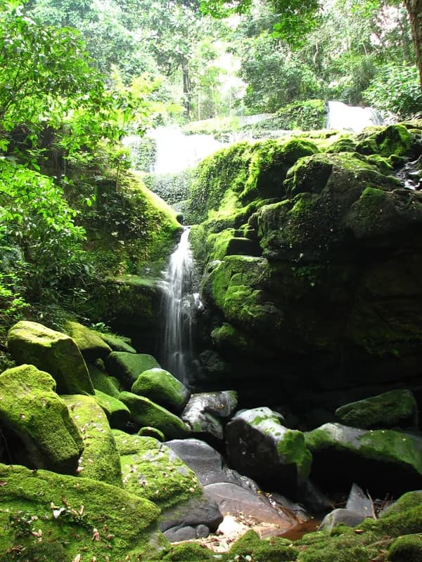 Parc national d'Ivindo — chutes de Kongou, chutes de Mingouli, chutes de Djidji, campements en forêt tropicale