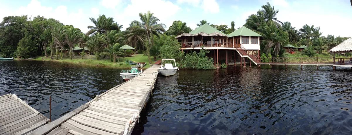 Eco-lodge wellness add-ons — forest bathing, quiet retreat time, wilderness-based relaxation