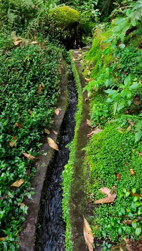 Cascata São Nicolau — forest waterfall, primary rainforest, swimming pools below the falls