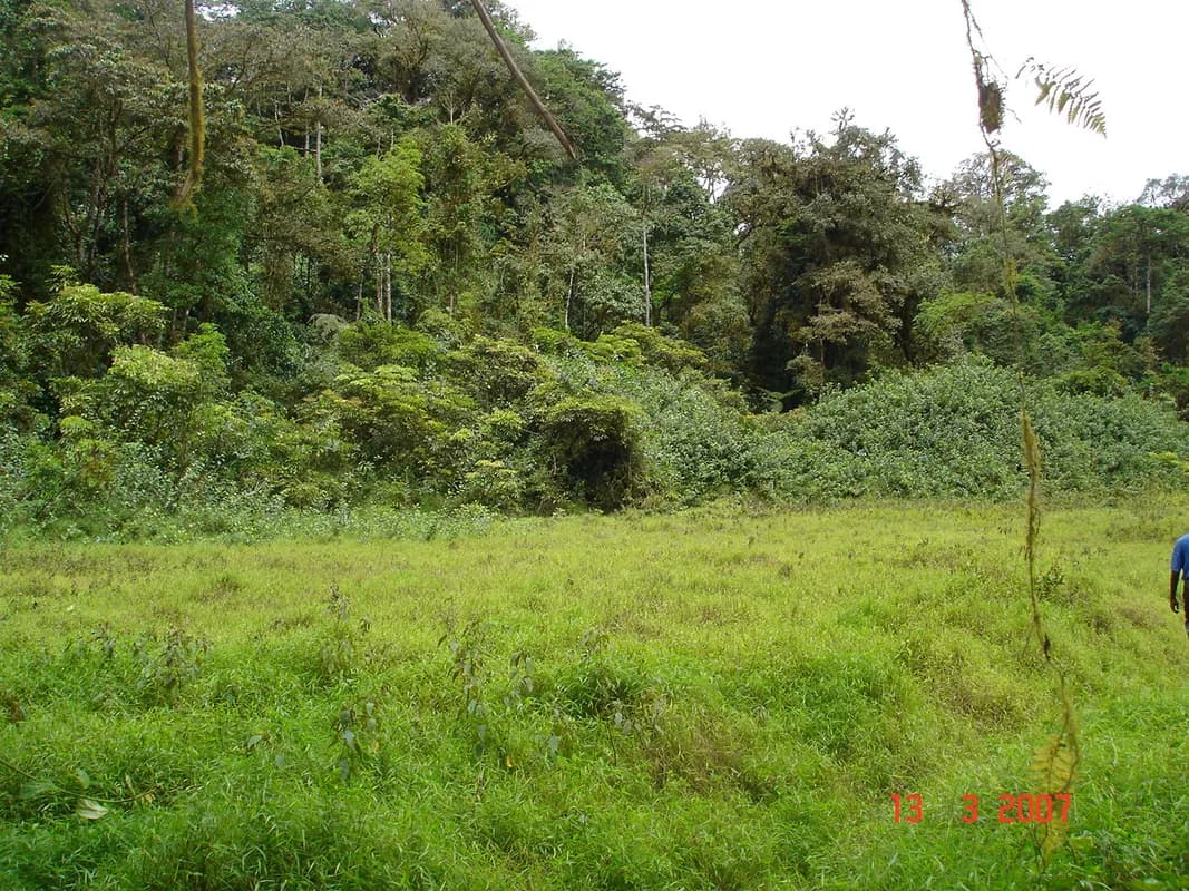 Lagoa Amélia — crater-lake trail, cloud-forest habitats, highland viewpoints