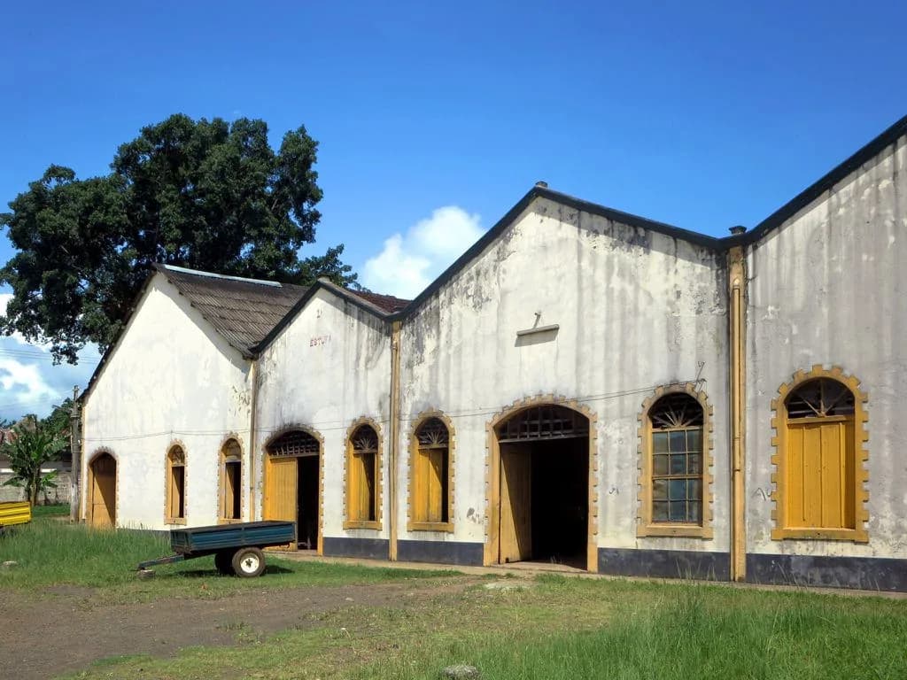 Cocoa roça tours — Roça Sundy — site of the 1919 solar-eclipse relativity confirmation, single-origin organic chocolate