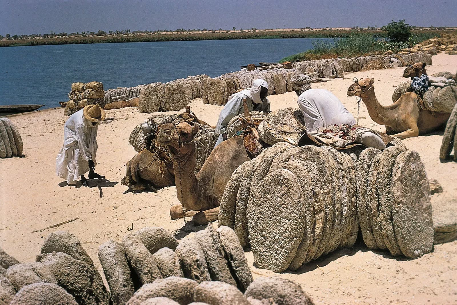 Lake Chad - Western Chad, Chad
