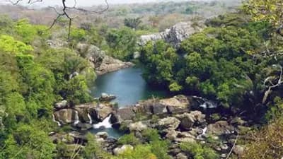 Manda National Park - South Chad, Chad