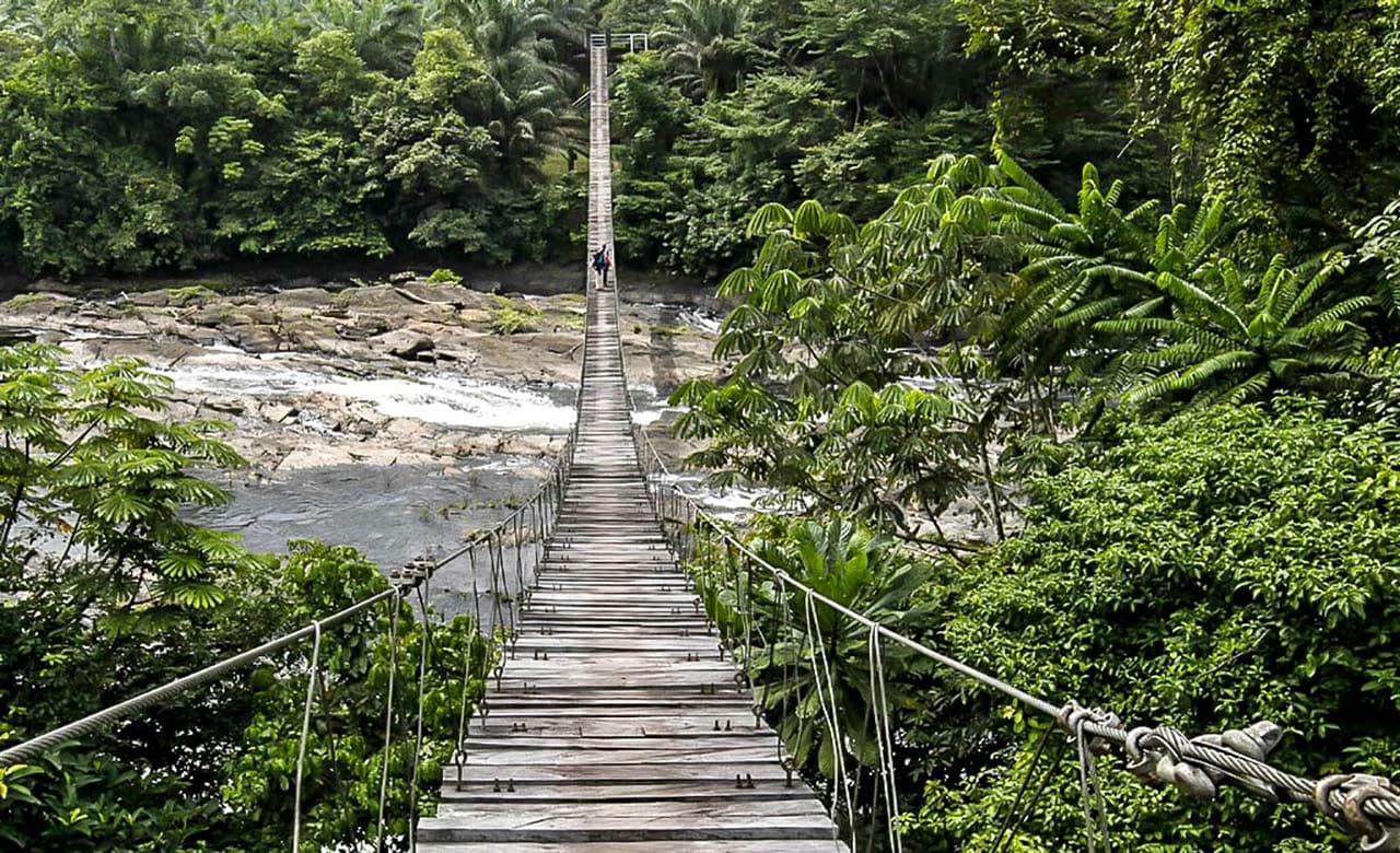 Korup National Park - Southwest Region, Cameroon