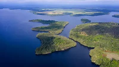 Conkouati-Douli National Park - South-West Congo, Republic of Congo