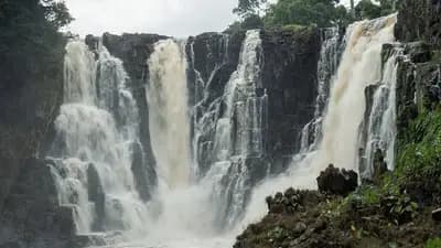 Ivindo National Park - North-East Gabon, Gabon