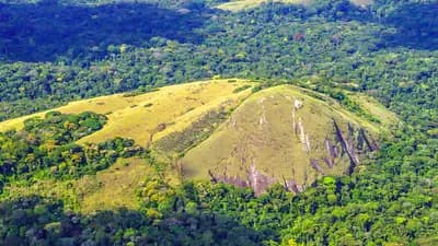 Minkébé National Park - North-East Gabon, Gabon