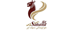 Sahand Airlines