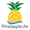 Pineapple Air