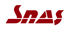 SNAS Aviation