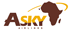 Skylink Aviation