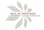 Silk Road Cargo Business