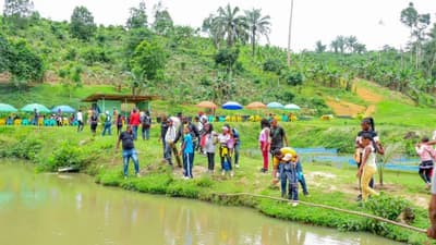 Agro & Farm Tours in DRC
