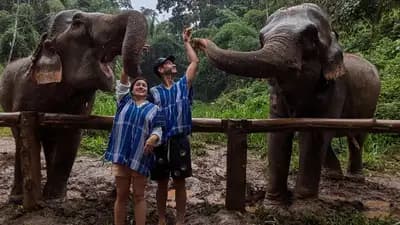 Care Tourism