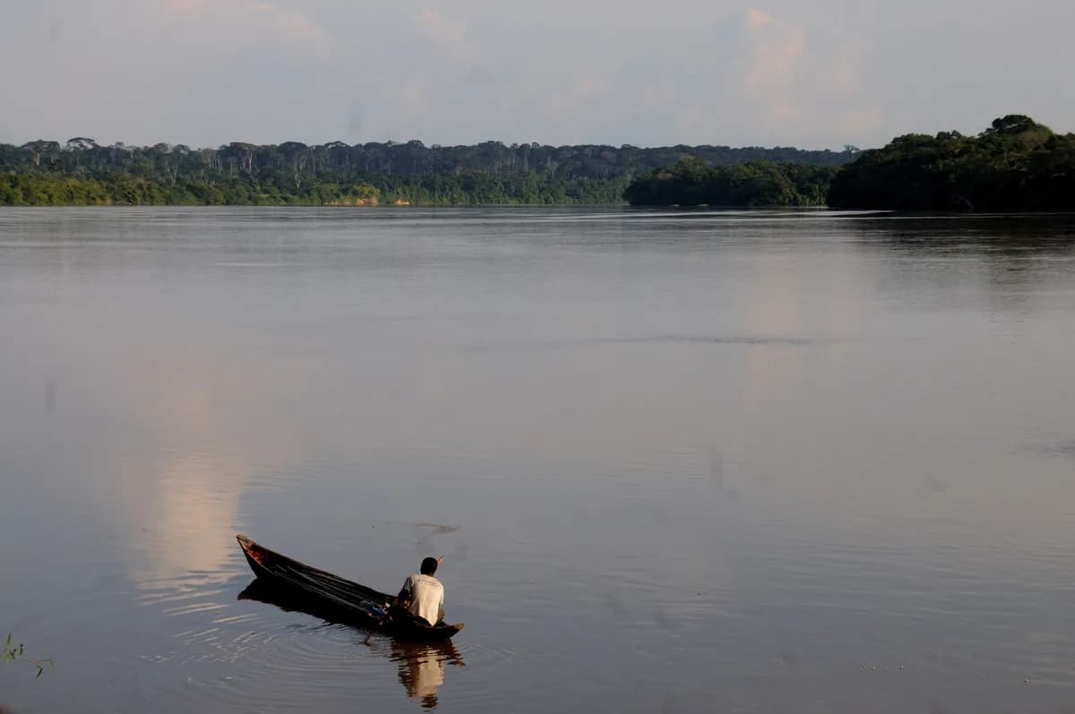 Excursions en pirogue sur la Sangha — faune fluviale au coucher du soleil, galeries forestières riveraines, guides locaux en pirogue