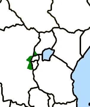 Kahuzi-Biéga National Park (UNESCO) — Albertine Rift montane species, bamboo-forest birds