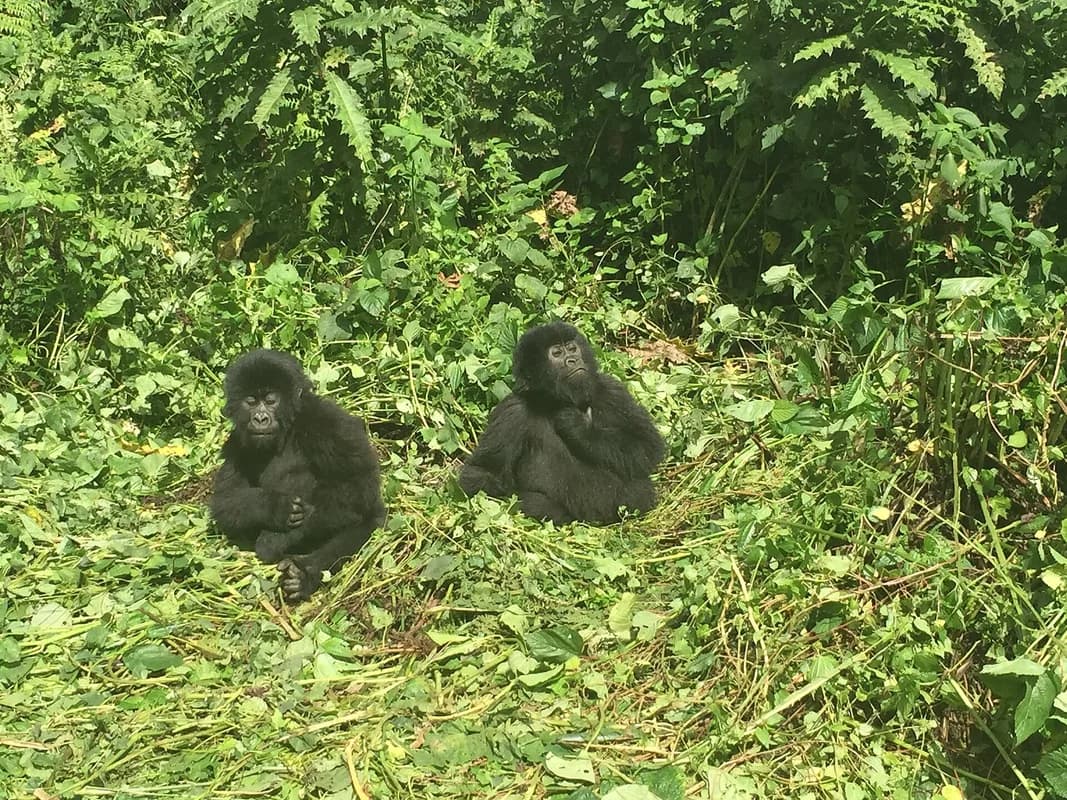 Goma — Virunga gateway, Lake Kivu shoreline