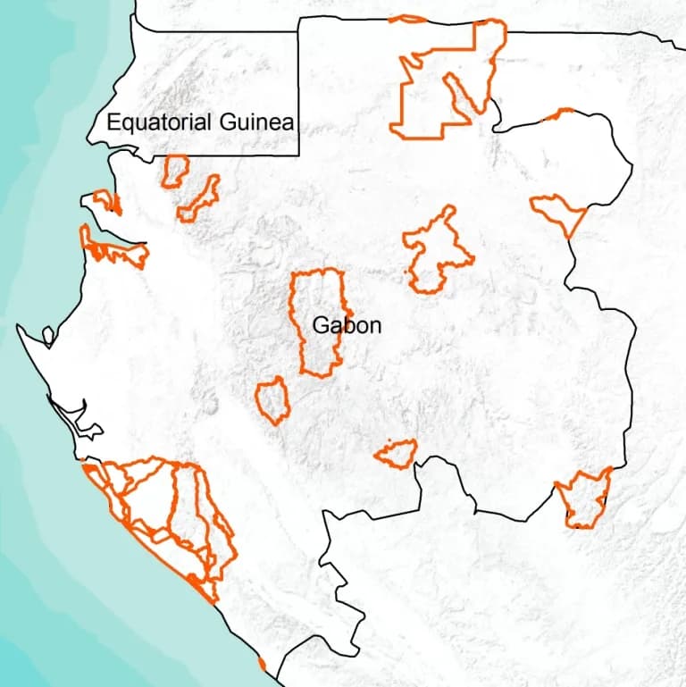 Gabon's national park system — one of the world's highest shares of protected land