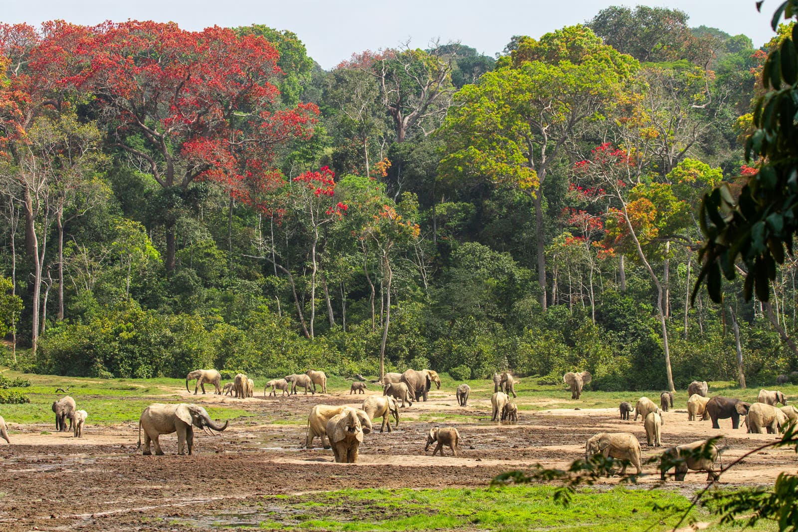Central African Republic - Tour operators travel tourism destination in Central Africa