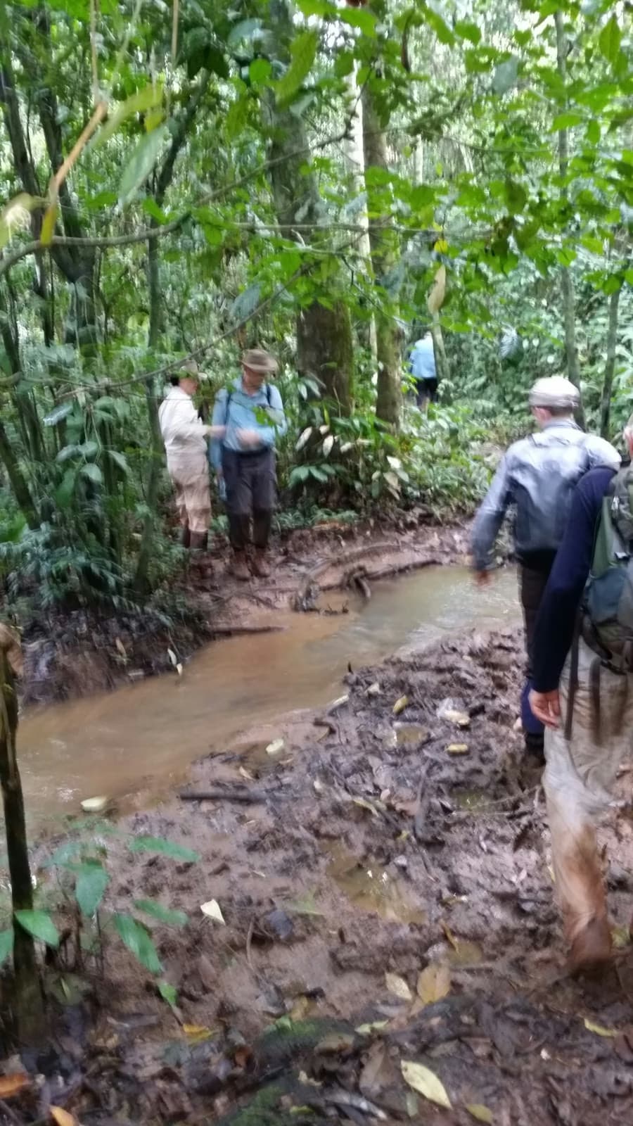 Salonga Wilderness Expedition
